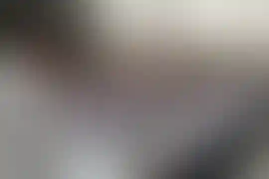 حضرت علی بن ابیطالب