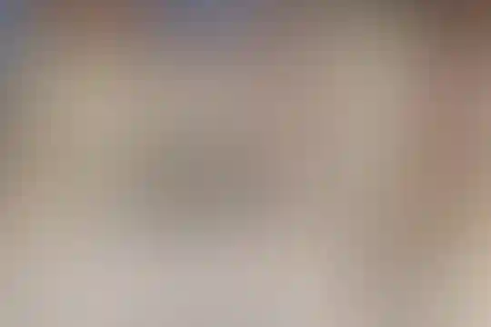 مصطفی پروینی