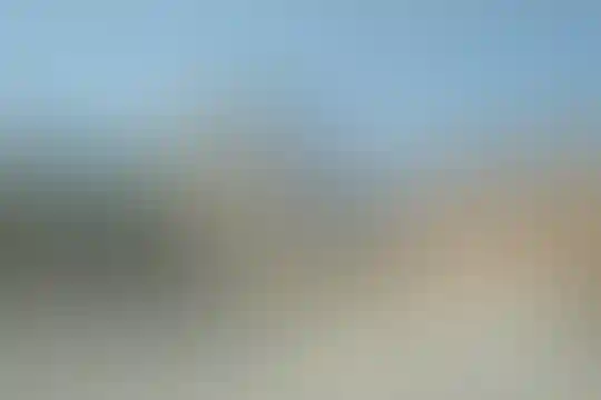 فاطمیه