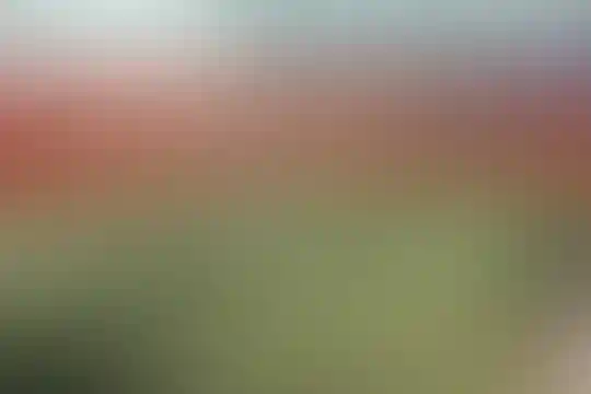 صبح روشن