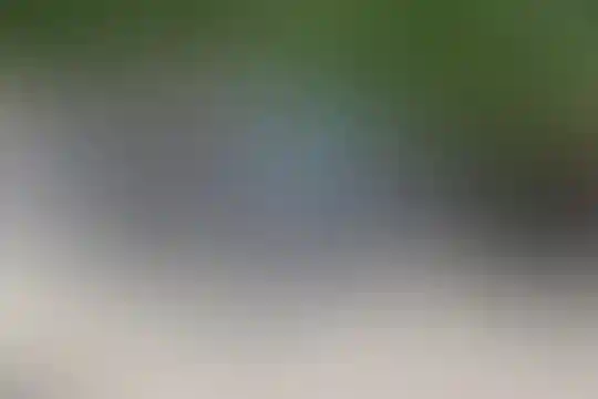بوعلی سینا 1