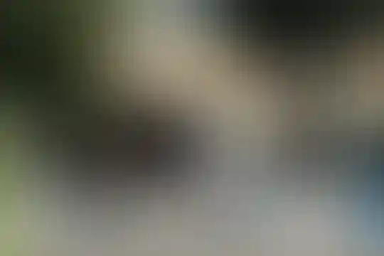 ملاصدرا