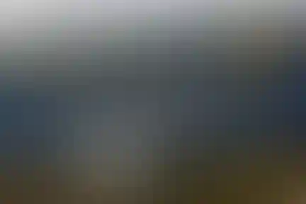 مجتهده امین