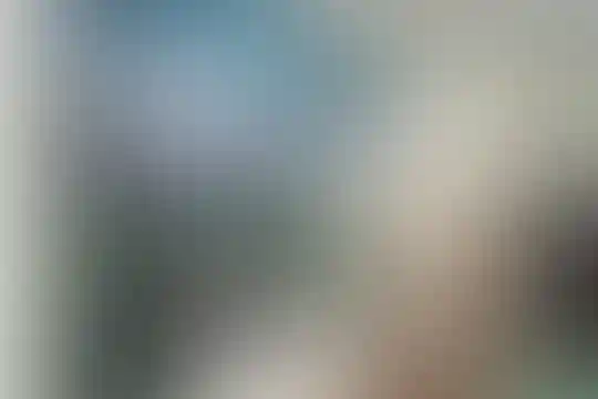 حاج فرخ سیفی