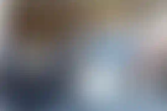 حاج فرخ سیفی