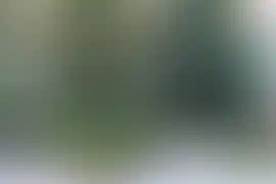احسان