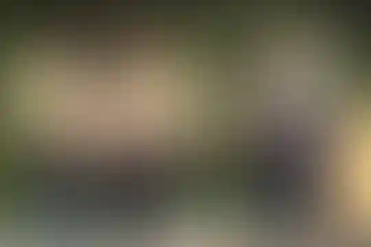 آئین روشن نور
