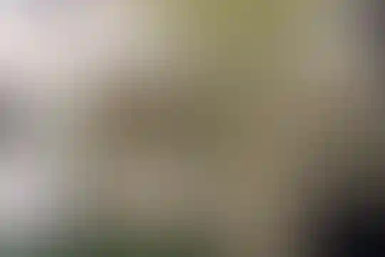 تلاش