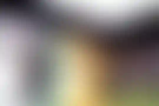 تلاش