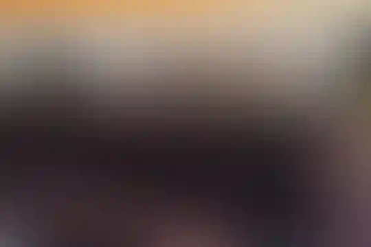 تلاش