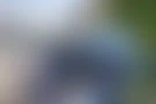 جابر ابن حیان