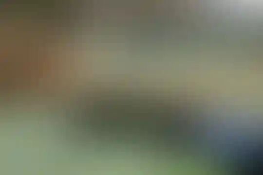 پلی تکنیک هنر