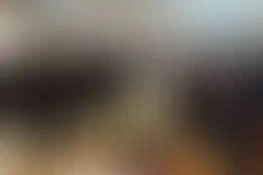 پلی تکنیک هنر