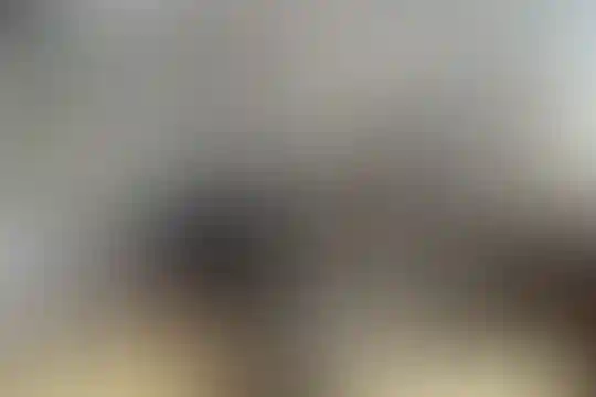 پلی تکنیک هنر