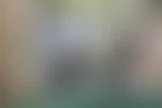 پلی تکنیک هنر