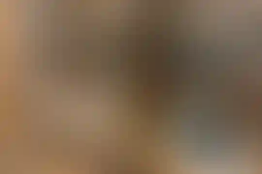 پلی تکنیک هنر