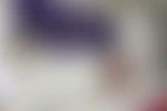 پلی تکنیک هنر