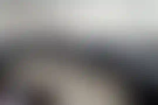 حمزه سیدالشهدا
