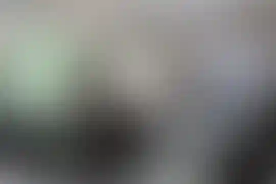 صدا و سیما