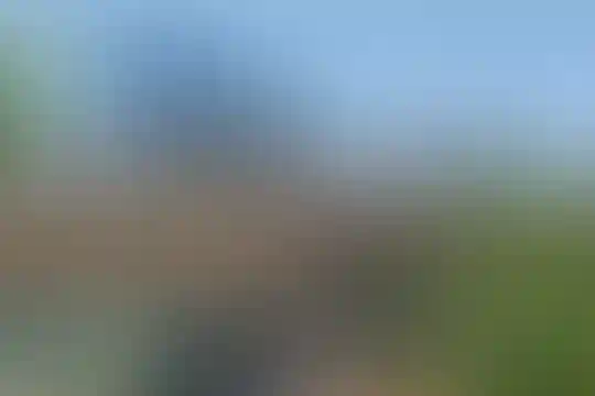 دکتر غلامحسین مصاحب
