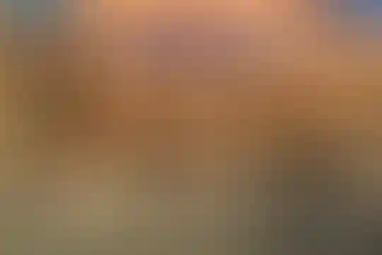 دکتر محمود افشار