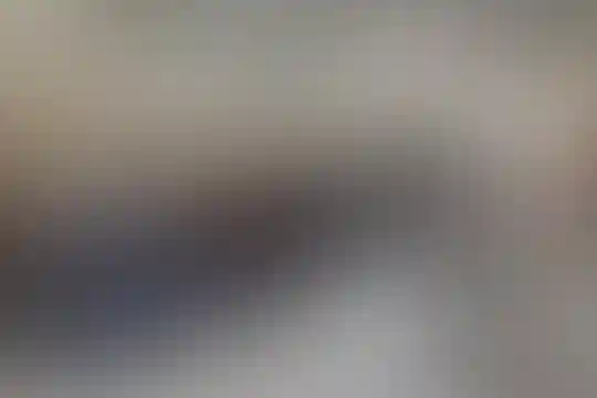 دکتر محمود افشار
