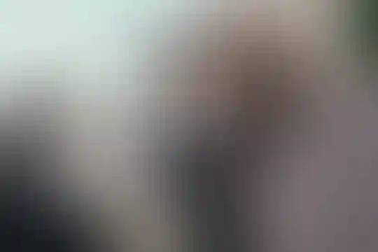 راهیان فضیلت 1