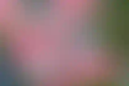 روزبه