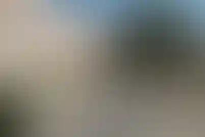 روشنگران