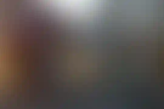 سادات موسوی