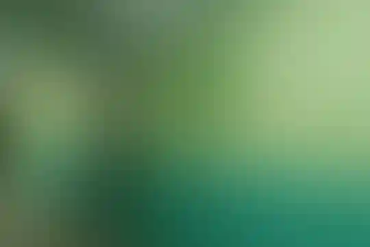 سعادت 1
