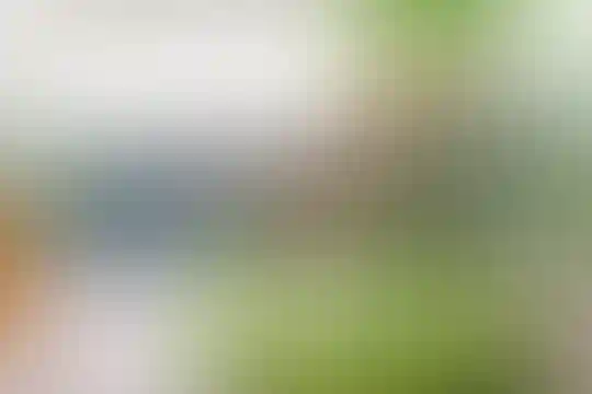 سوده
