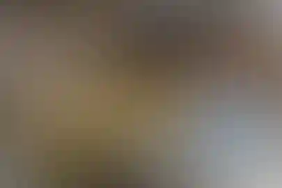 سیدالشهدا