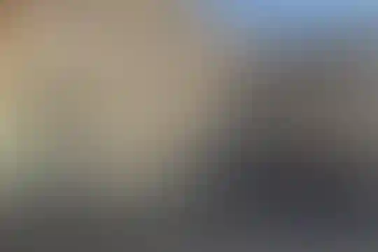 شهید صدر