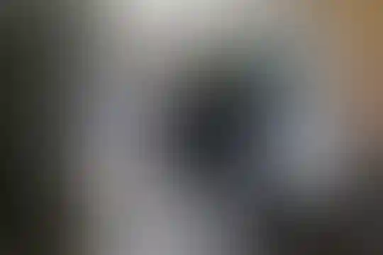 سعدی 1