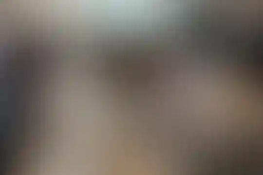 سعدی 1