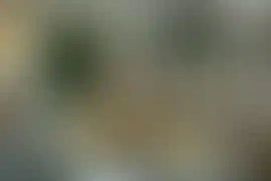 شهید مهدوی