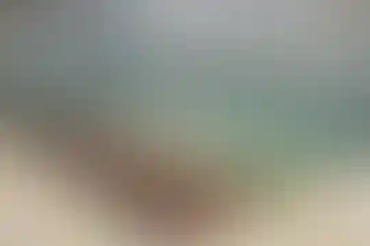شهید مهدوی