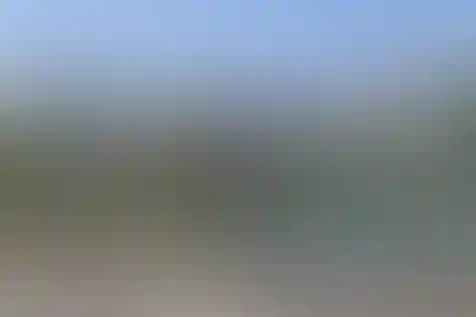 یاس نبی