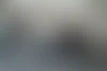 علامه حلی