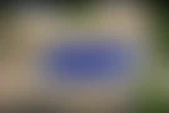 علامه حلی 10