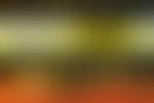 علامه حلی 3