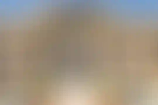 علامه حلی 5