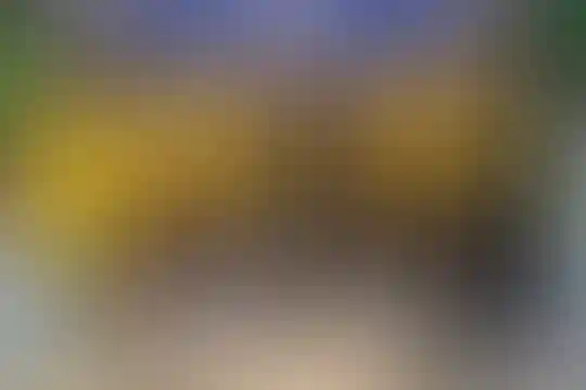 علامه حلی 6