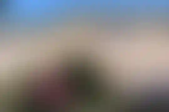 فرزانگان