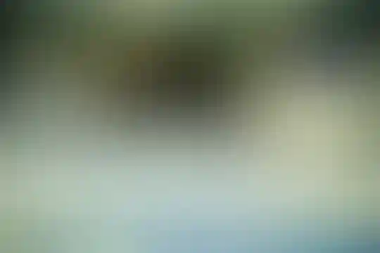 فرزانگان 2