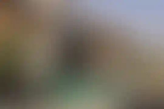 فرزانگان 5