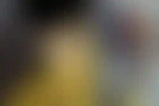 نوآوران