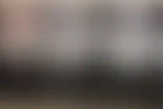 نوآوران