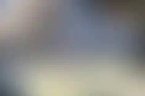 شهید آوینی